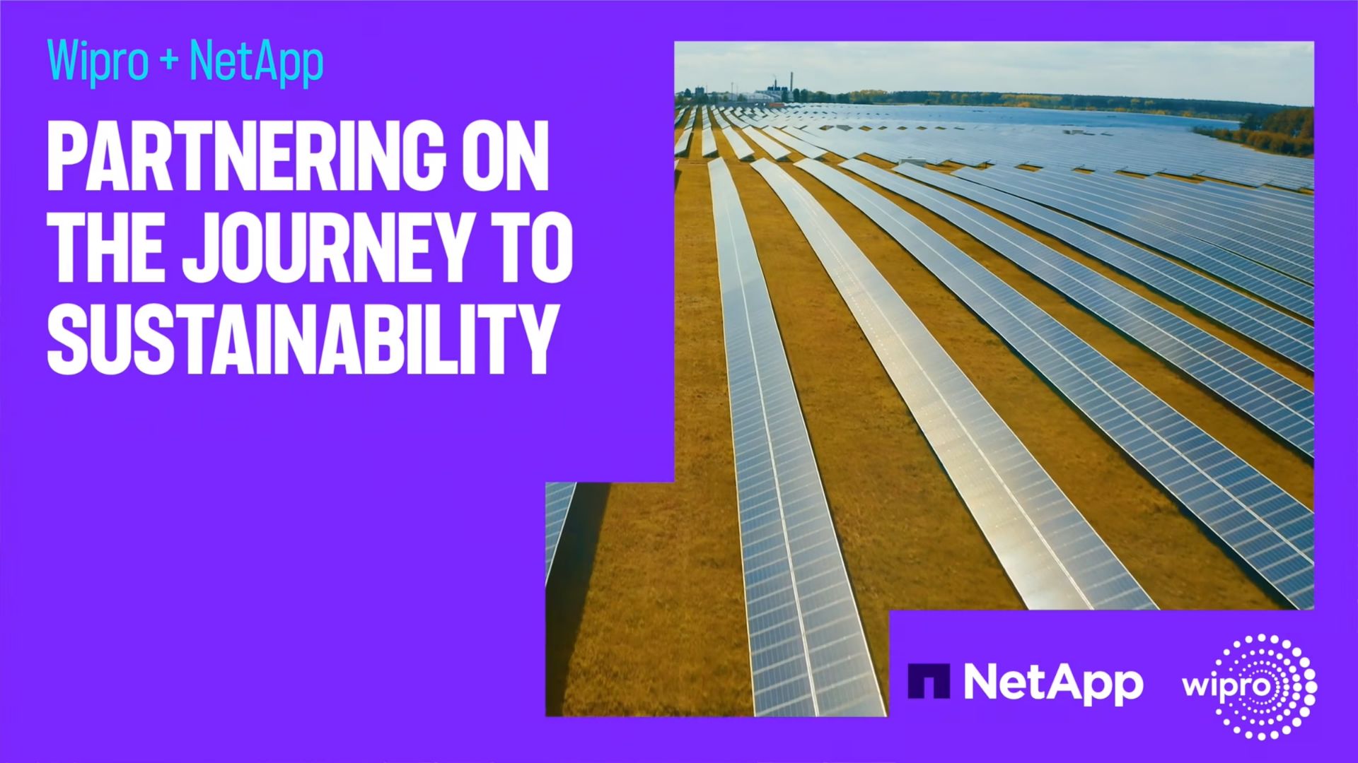 Wipro + NetApp - Partnering on the journey to sustainability