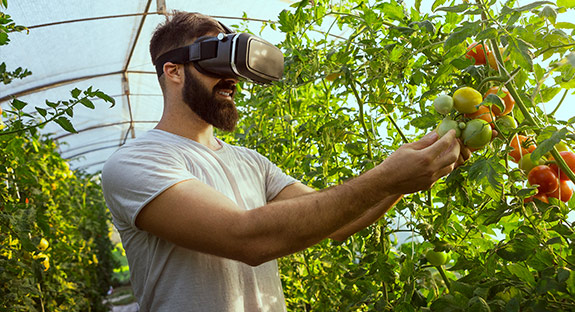 Smart Farming powered by Analytics