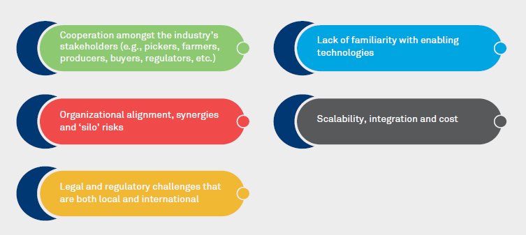 Build it on Blockchain: A sustainable palm oil industry