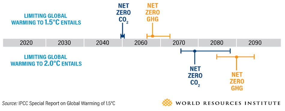 Sustainability: A Race to Achieve Net Zero with IoT-led Digital Solutions